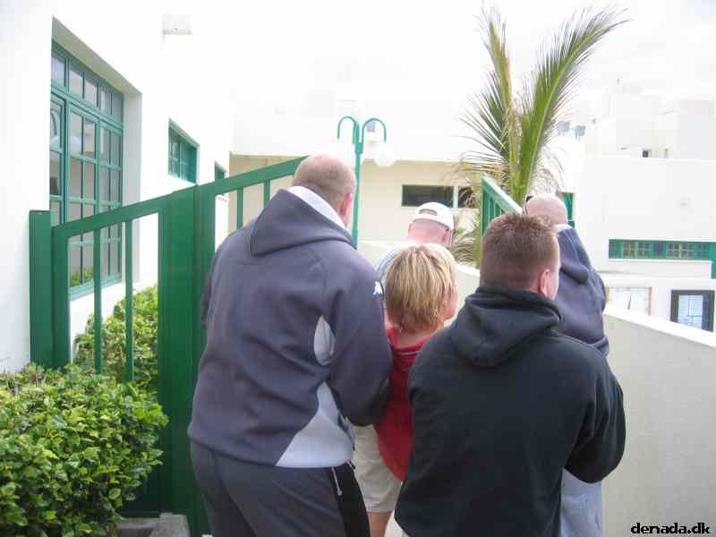 * Image 31
