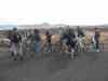 Billede_293.jpg - 2006:02:01 11:43:37