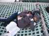 Billede_395.jpg - 2006:02:01 17:18:55