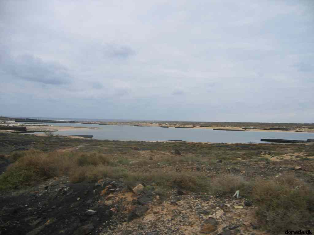 * Image 1