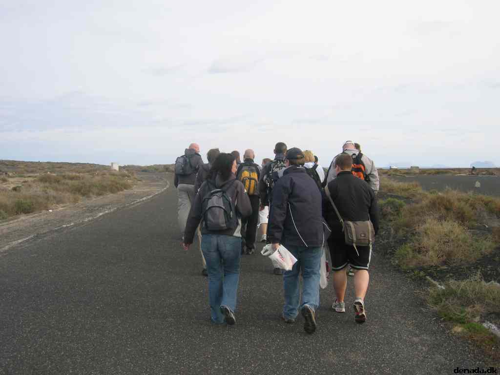 * Image 14