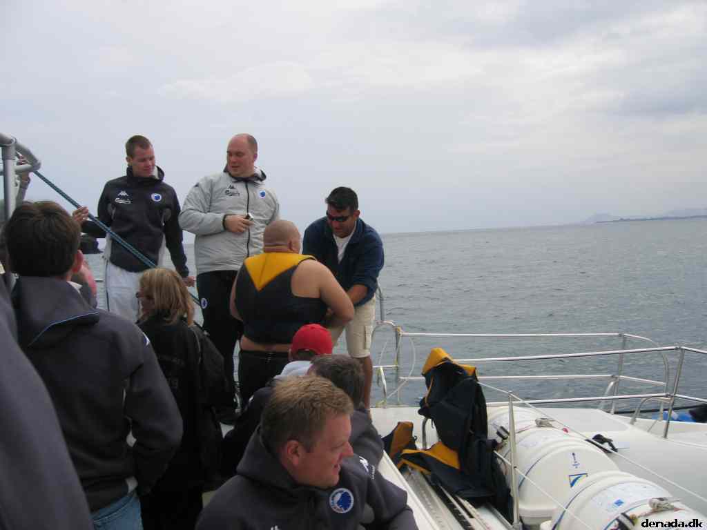 * Image 46