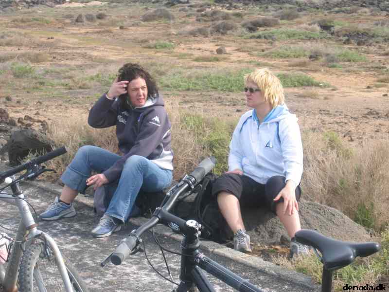 * Image 19