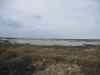 Billede_278.jpg - 2006:02:01 09:39:22