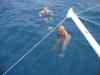 Billede_358.jpg - 2006:02:01 17:05:27