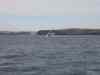 Billede_364.jpg - 2006:02:01 17:07:20