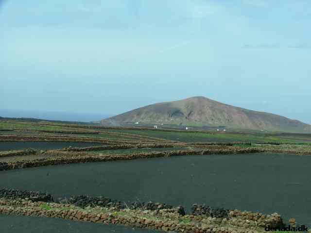 * Image 115