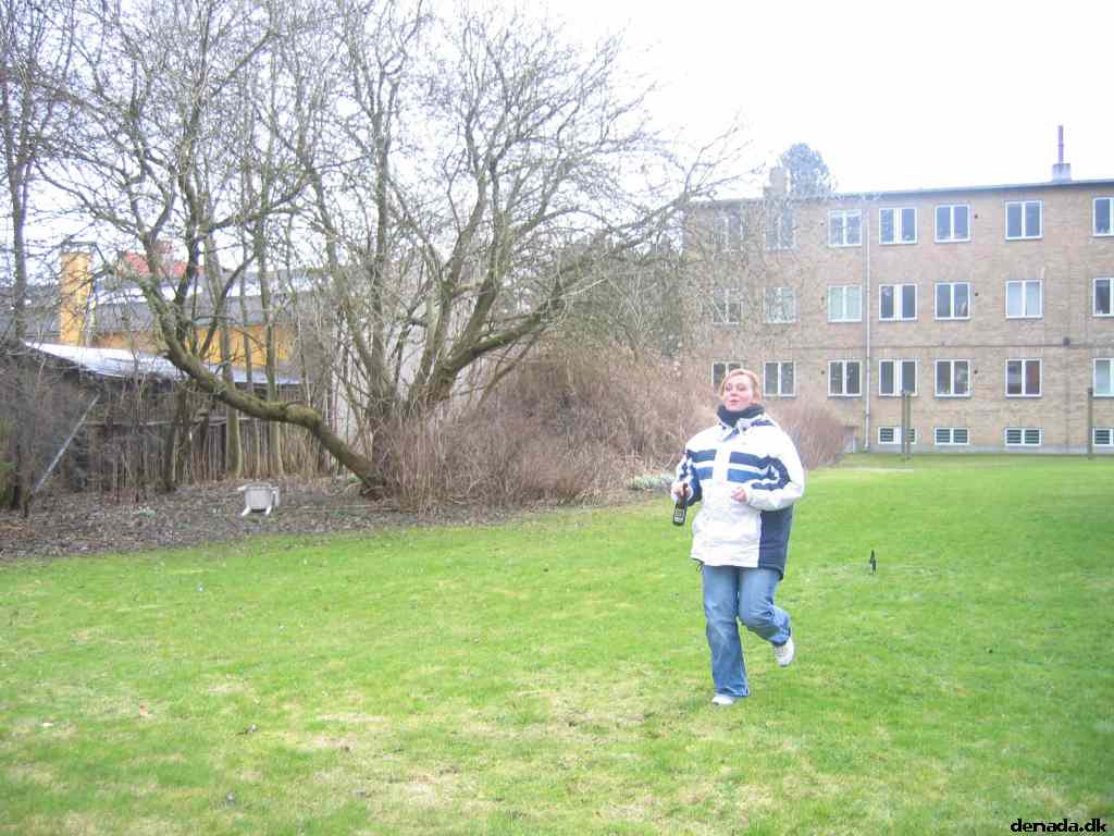 * Image 41