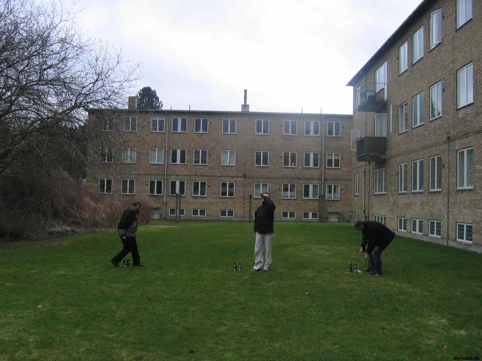 * Image 31