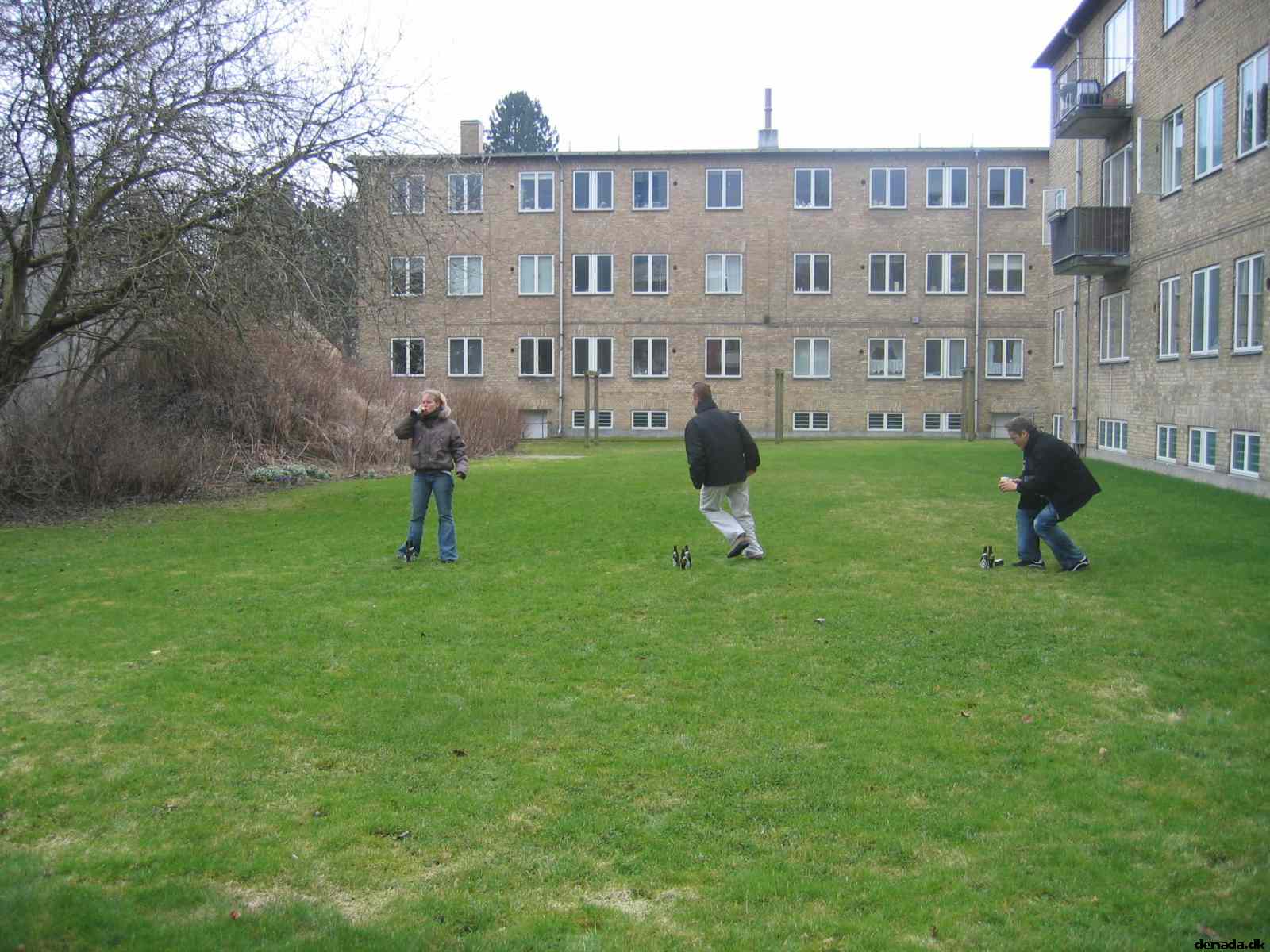 * Image 33