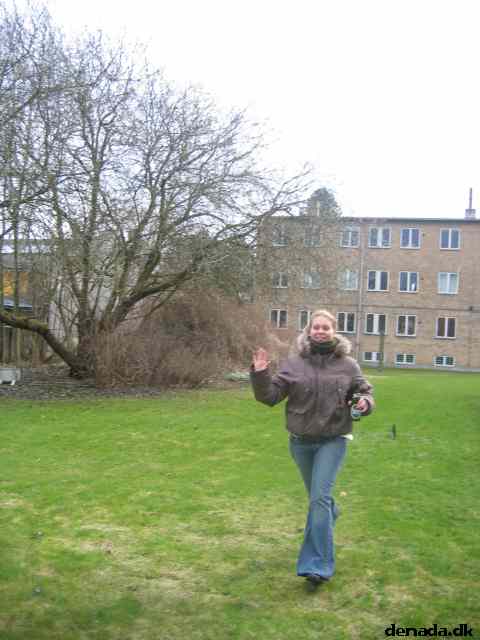 * Image 39