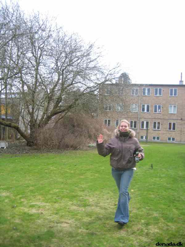 * Image 39