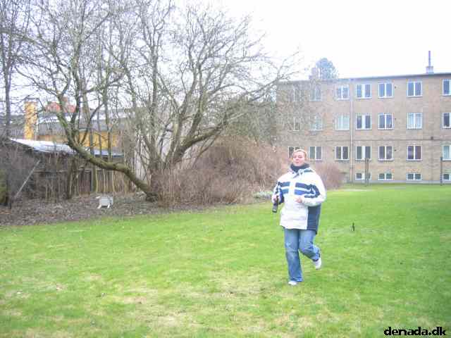 * Image 41