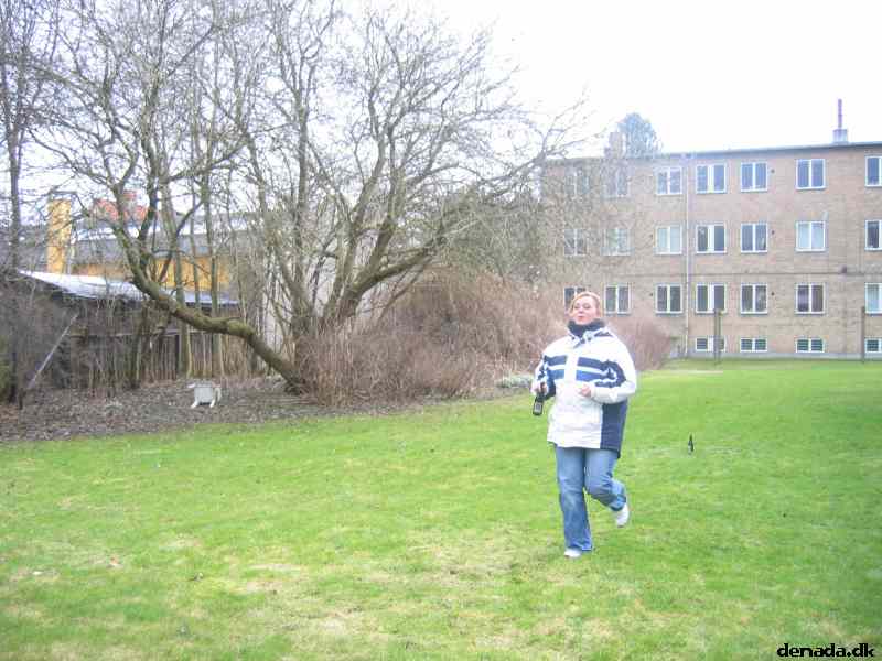 * Image 41