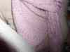 HPIM0477.JPG - 2006:04:13 15:28:24