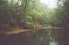 54840010.jpg - 