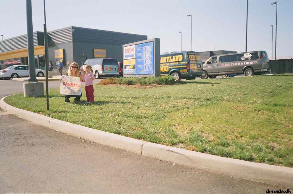 * Image 7