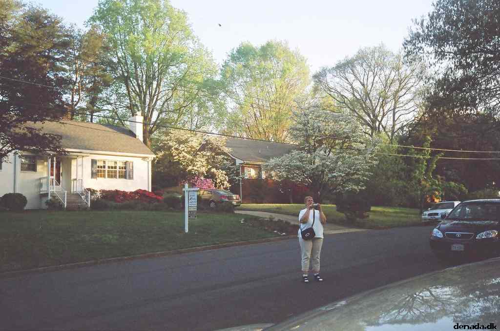 * Image 10