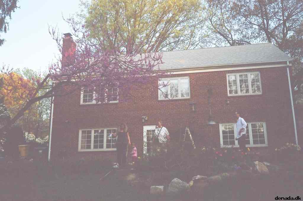 * Image 11