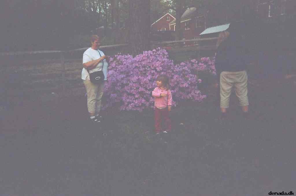 * Image 12