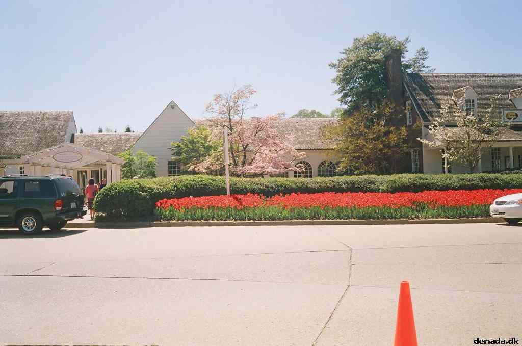 * Image 17