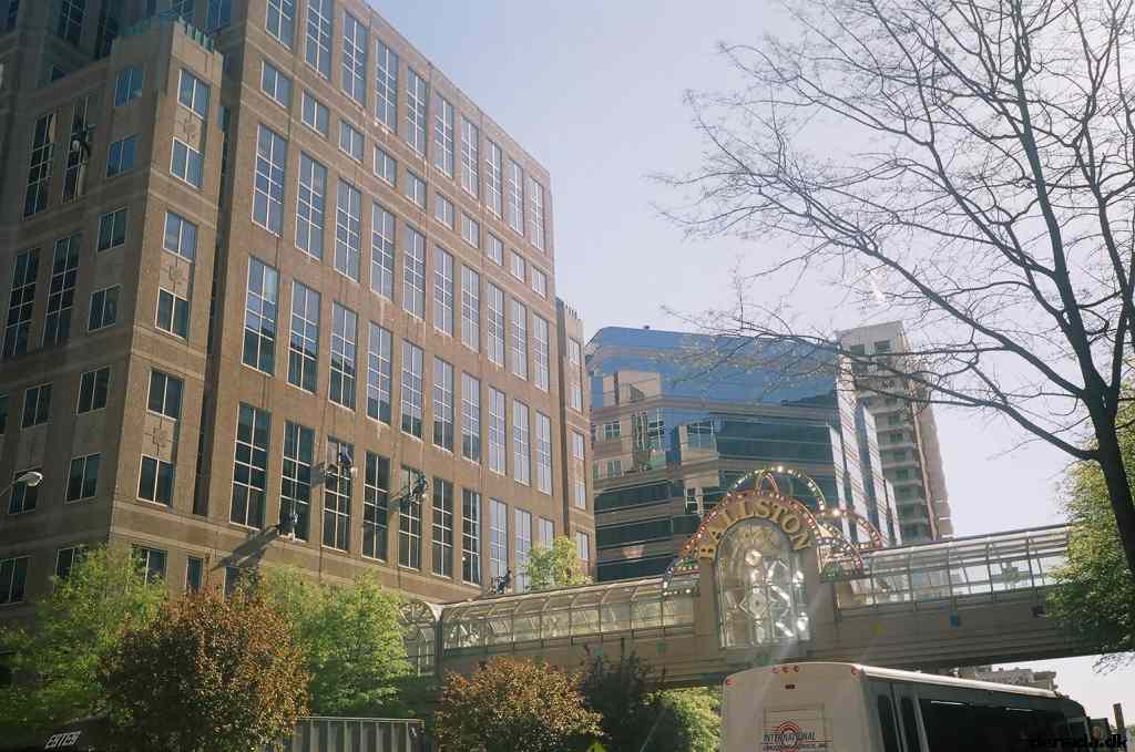 * Image 30