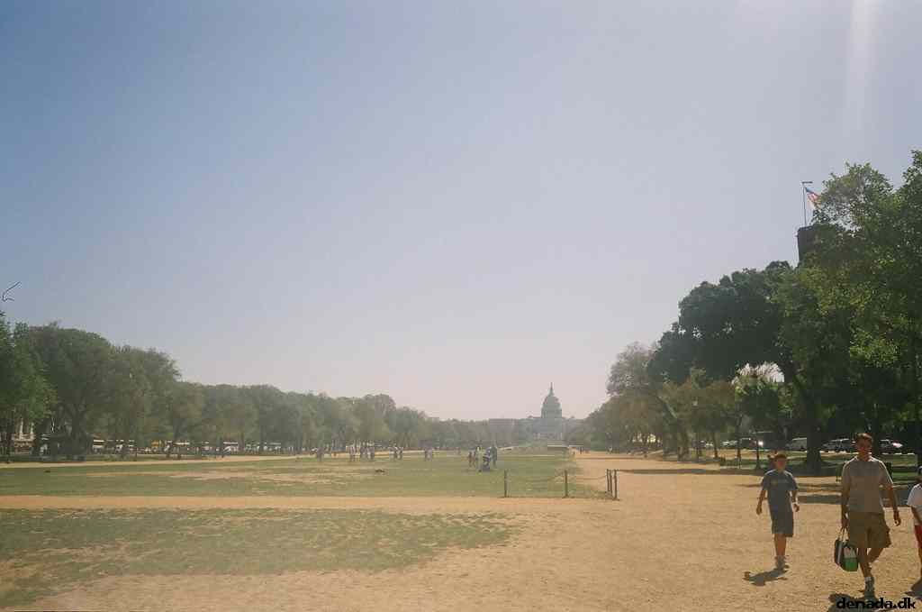 * Image 32