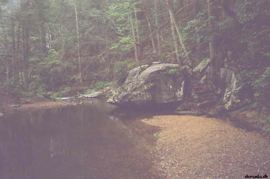 * Image 48