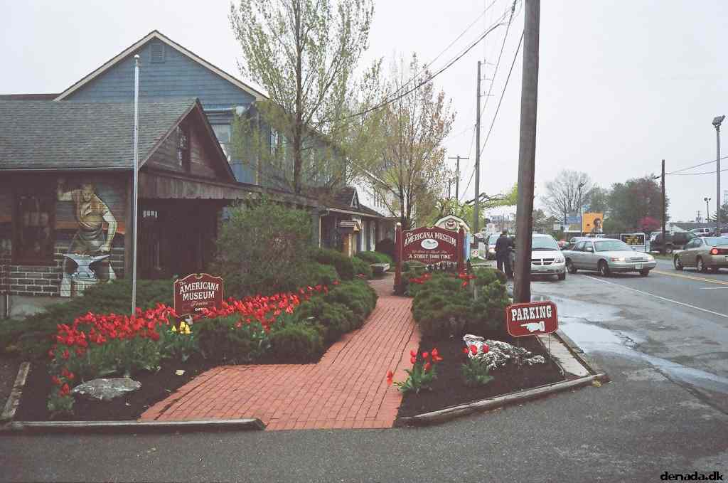 * Image 53