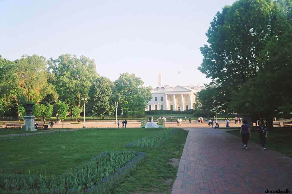 * Image 104
