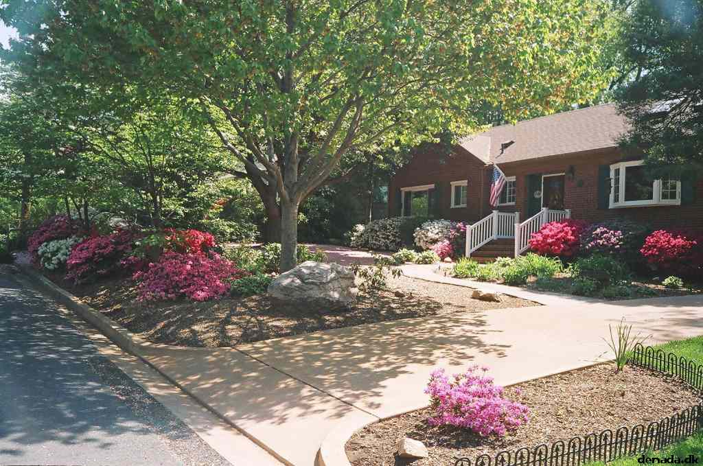 * Image 114