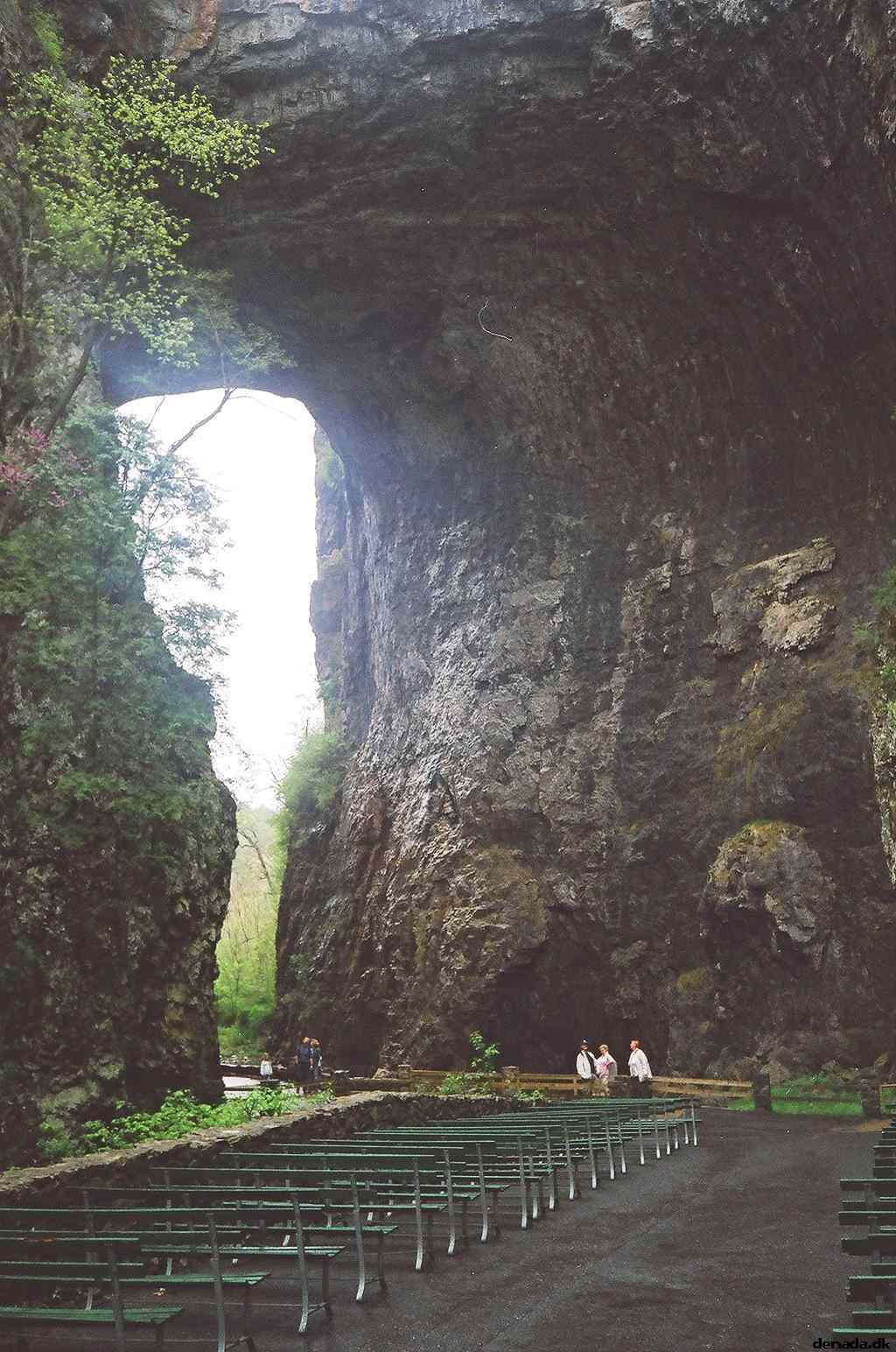 * Image 45