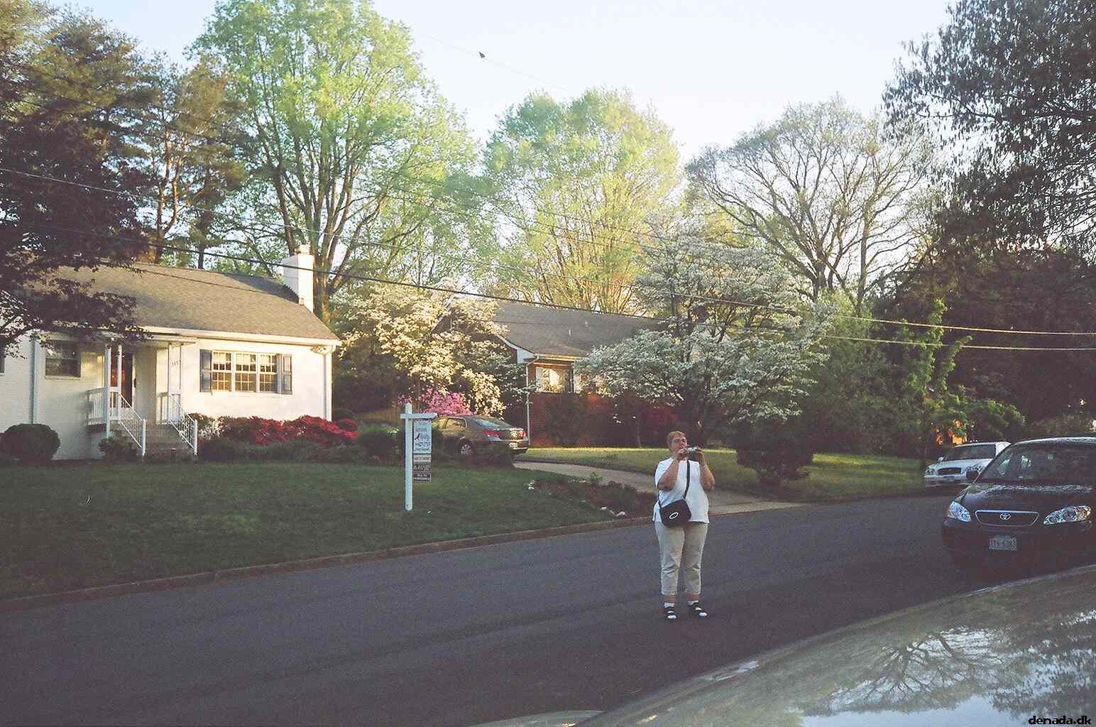 * Image 10