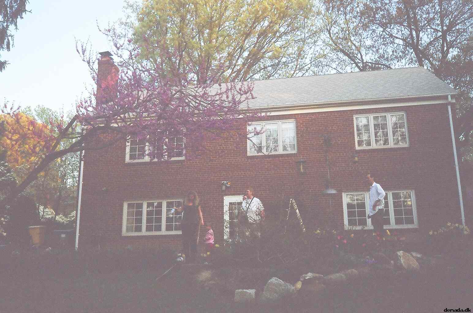 * Image 11