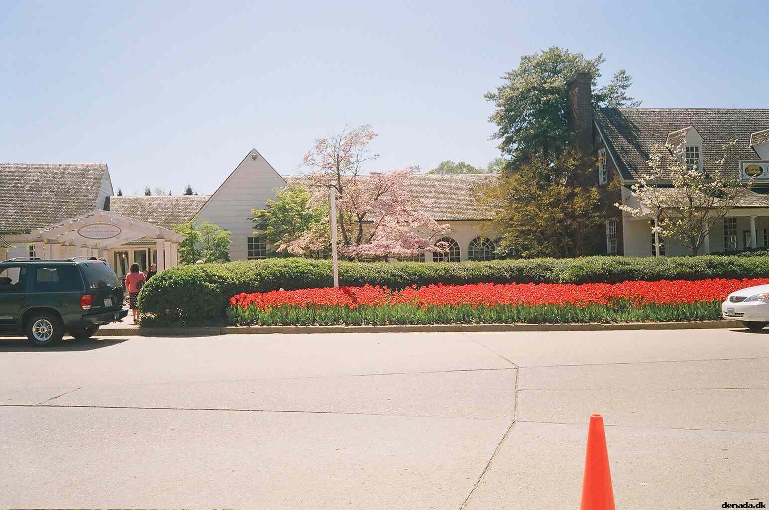 * Image 17
