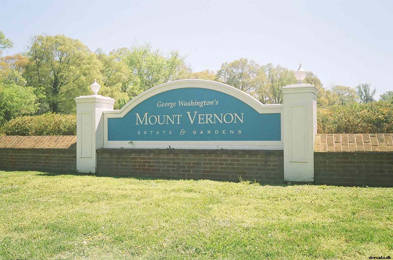 * Image 18