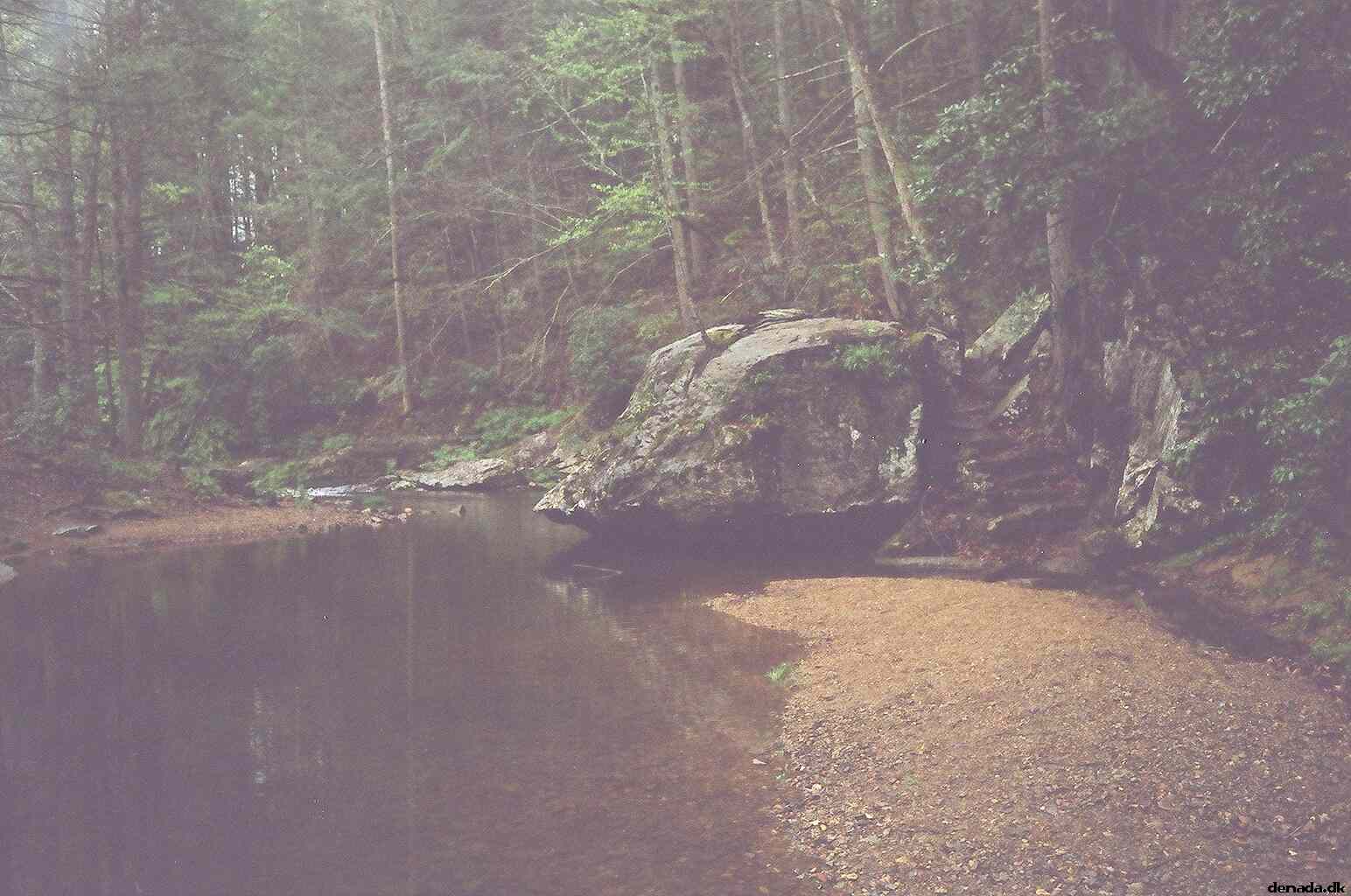 * Image 48