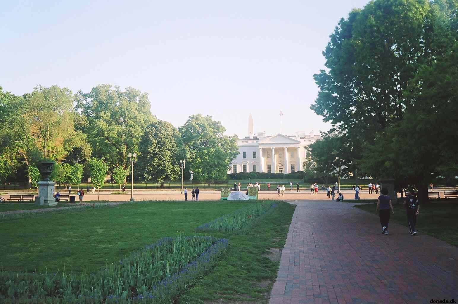 * Image 104