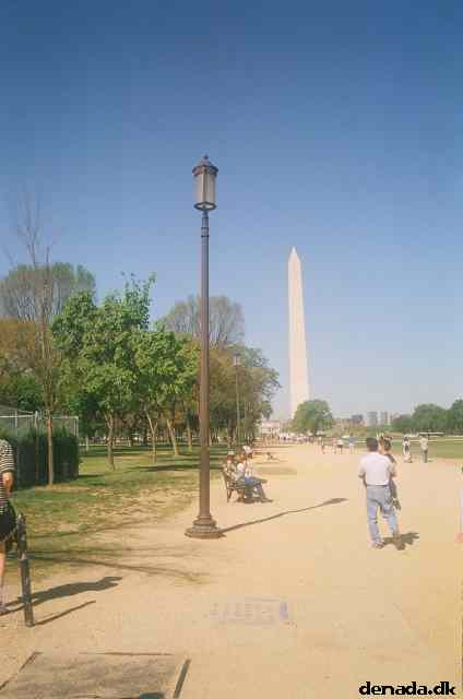 * Image 31