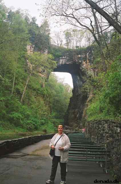 * Image 43