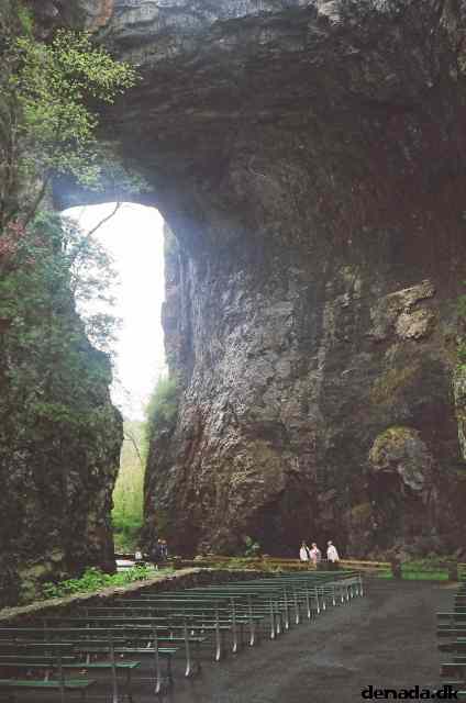 * Image 45
