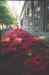 54850023.jpg - 