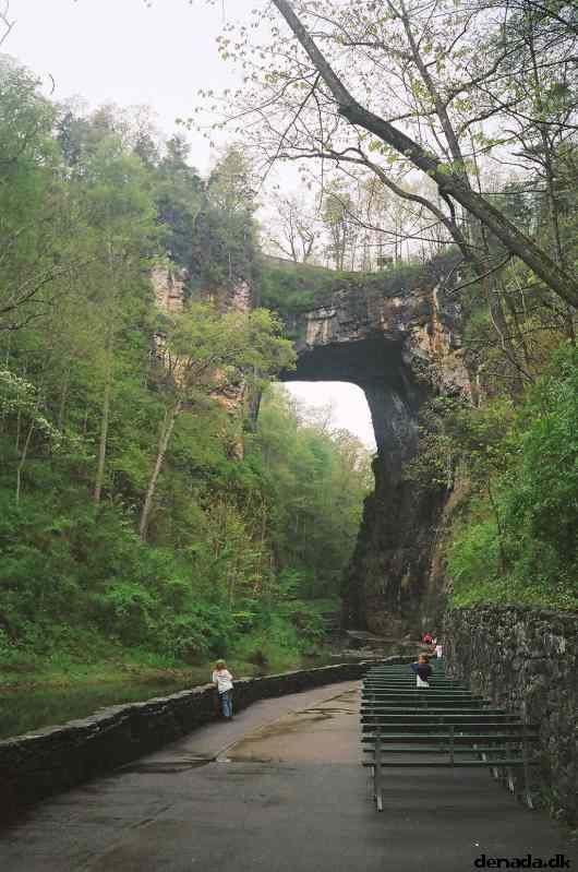 * Image 42