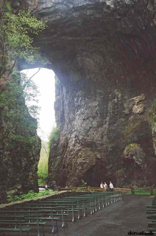 * Image 45