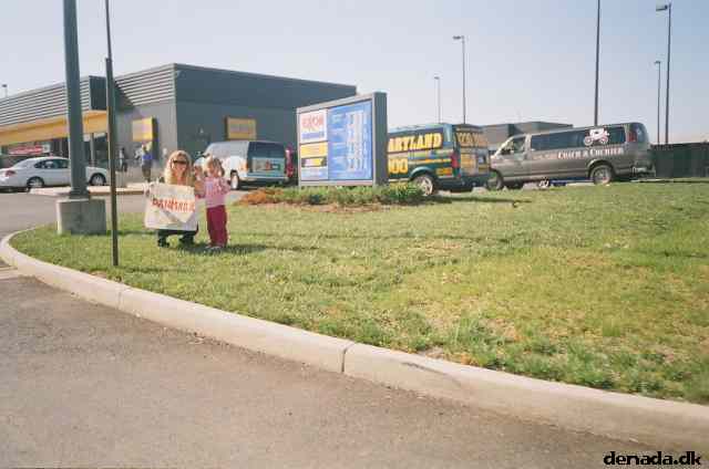 * Image 7