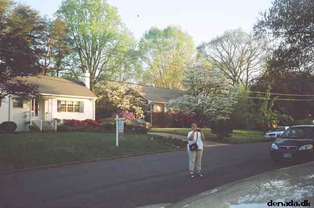 * Image 10