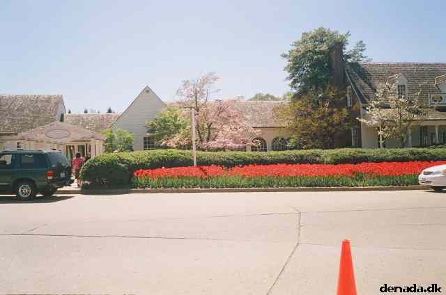 * Image 17