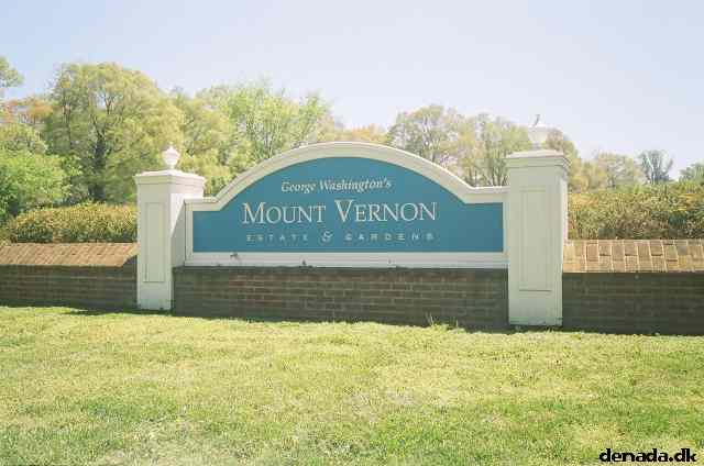 * Image 18