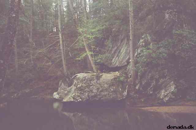 * Image 47