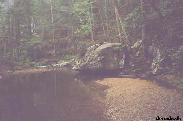 * Image 48